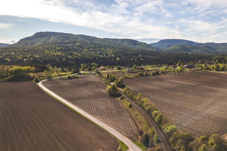 Canva – Farm Field