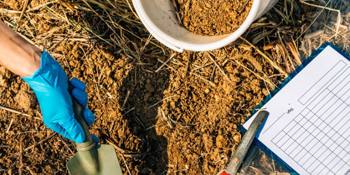 soil-testing